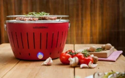 LotusGrill S Charcoal / Table Grill Con Borsa Da Trasporto Plum Purple