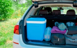 Campingaz Icetime Plus Cooler 30 Litri 10 Campingaz Icetime Plus Cooler 30 Litri -Forniture Cucina Negozio 415869 3019628