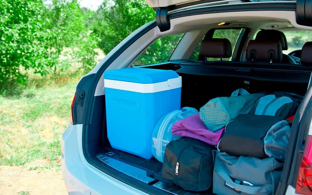 Campingaz Icetime Plus Cooler 30 Litri 6 Campingaz Icetime Plus Cooler 30 Litri - immagine 6