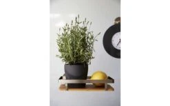 Wenko Universal Shelf Premium Wall Shelf -Forniture Cucina Negozio 516434 3504149