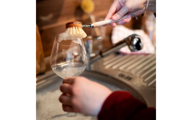 Testine Di Cambio Per Cincillà 3 Pezzi In Legno, Compresa La Spazzola Di Risciacquo 2 Testine Di Cambio Per Cincillà 3 Pezzi In Legno, Compresa La Spazzola Di Risciacquo - immagine 2