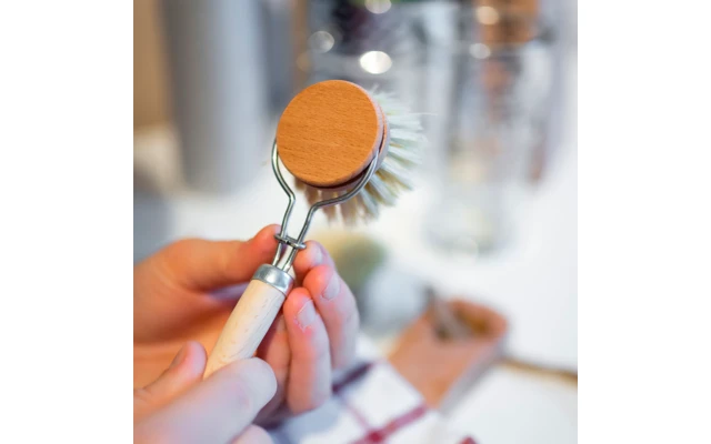 Testine Di Cambio Per Cincillà 3 Pezzi In Legno, Compresa La Spazzola Di Risciacquo 3 Testine Di Cambio Per Cincillà 3 Pezzi In Legno, Compresa La Spazzola Di Risciacquo - immagine 3