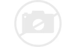 Frigorifero Engel SD90F/CK100 80 Litri -Forniture Cucina Negozio 86502 layout bild keinbild 3355805